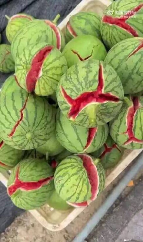 给你们分享一个比较炸裂的瓜